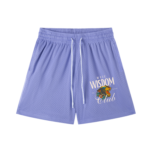 Mesh Drawstring Shorts in Purple by DKRTL WYZE
